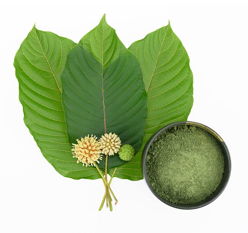 img Oasis Kratom