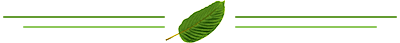 Kratom separator
