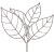 Green Elephant Kratom Powder 3 fresh kratom