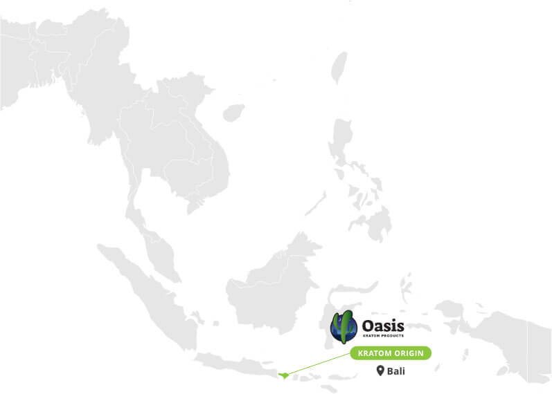 White Bali Capsules 3 Origin of White Bali Capsules - By Oasis Kratom