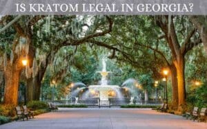 is kratom legal in georgia - oasis kratom