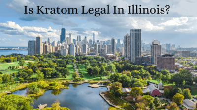Is Kratom Legal in Illinois? 11 Is Kratom Legal in Illinois - Oasis Kratom