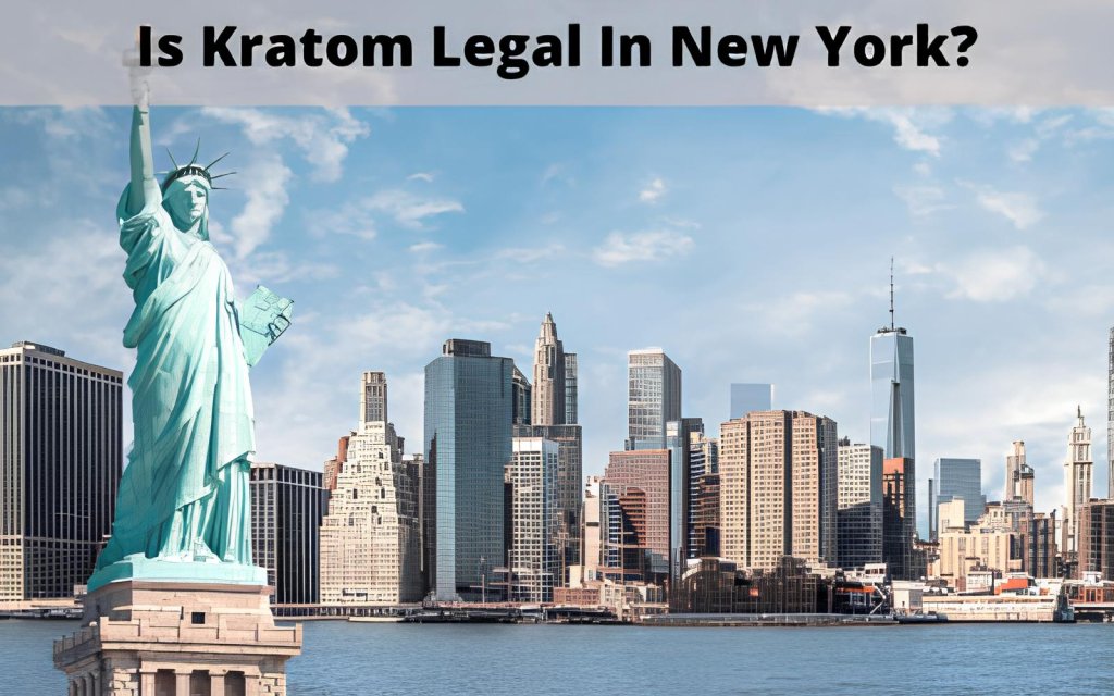 Is Kratom Legal in New York? Regulations and What Buyers Should Know 10 is kratom legal in New York
