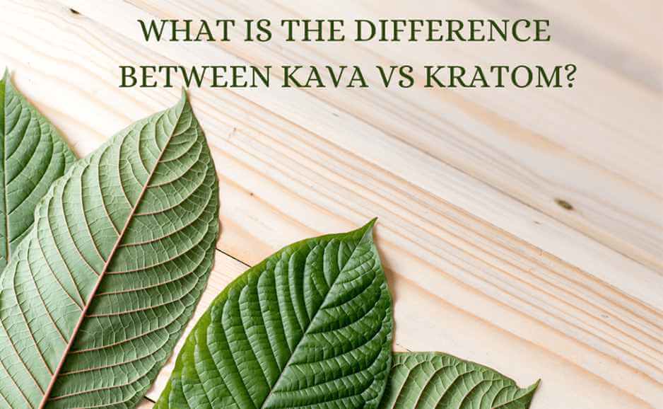 kava vs kratom
