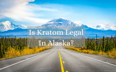 Is Kratom Legal In Alaska? 2024 Update 1 Is Kratom Legal In Alaska - Oasis Kratom
