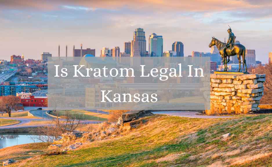 Is Kratom Legal In Kansas? 2023 Update 1 is kratom legal in kansas_oasis kratom