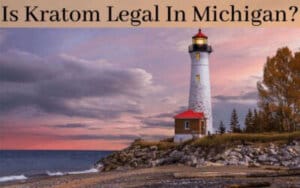 Is Kratom Legal In Michigan - Oasis Kratom