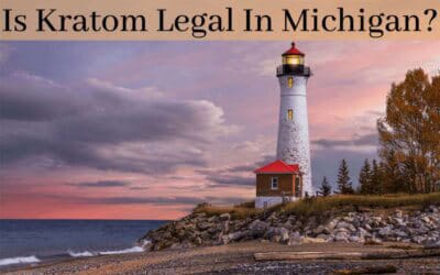 Is Kratom Legal In Michigan - Oasis Kratom