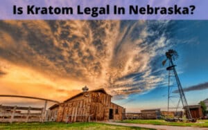 Is Kratom Legal In Nebraska - Oasis Kratom