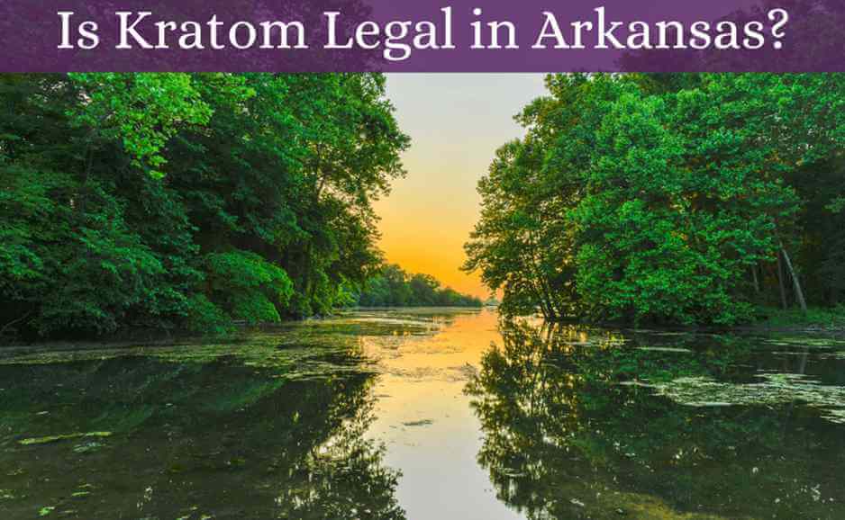 Is Kratom Legal in Arkansas? 13 is kratom legal in arkansas-featured image-oasis kratom