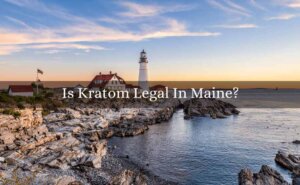 is kratom legal in maine-featured image-oasis kratom