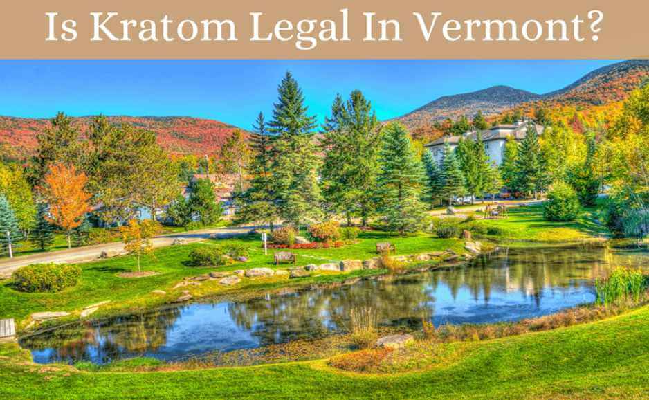 Is Kratom Legal In Vermont? 1 is kratom legal in vermont-featured image-oasis kratom