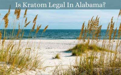 Is Kratom Legal In Alabama? 10 Is Kratom Legal In Alabama - Oasis Kratom