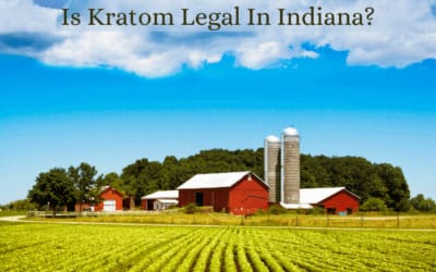 Is Kratom Legal In Indiana? 3 Is Kratom Legal In Indiana - Oasis Kratom