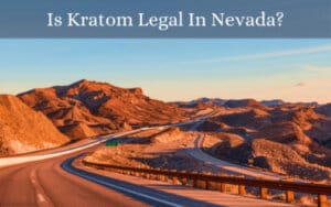 Is Kratom Legal In Nevada - Oasis Kratom