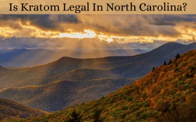 Is Kratom Legal in North Carolina? Laws, Age Limits, and Buying Guide 1 Is Kratom Legal In North Carolina - Oasis Kratom
