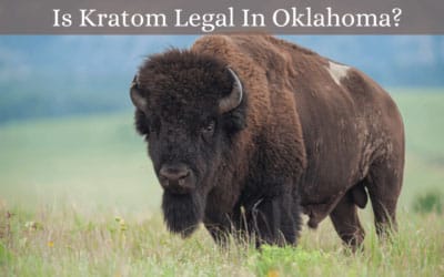 Is Kratom Legal In Oklahoma? Know the Updates! 1 Is Kratom Legal In Oklahoma - Oasis Kratom