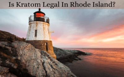 Is Kratom Legal In Rhode Island? 8 Is Kratom Legal In Rhode Island - Oasis Kratom