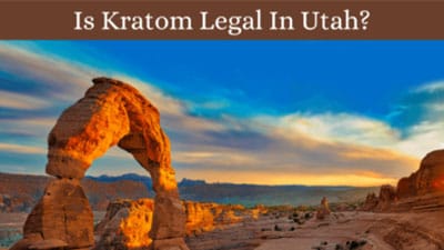 Is Kratom Legal In Utah - Oasis Kratom