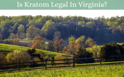 Is Kratom Legal in Virginia? Key Legal Insights 18 Is Kratom Legal In Virginia - Oasis Kratom