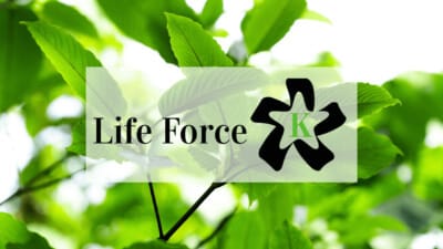 Life Force Kratom Vendor Review 8 Life Force Kratom Vendor Review - Oasis Kratom