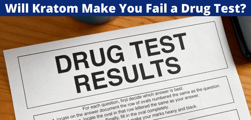 Will Kratom Make You Fail a Drug Test? 6 Will Kratom Make You Fail a Drug Test?