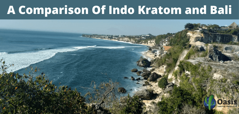 A Comparison Of Indo Kratom and Bali Kratom 10 Indo Kratom and Bali