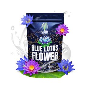 Blue Lotus Flower