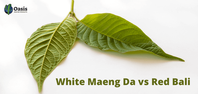 White Maeng Da vs Red Bali: Which Is Better? 6 White Maeng Da vs Red Bali