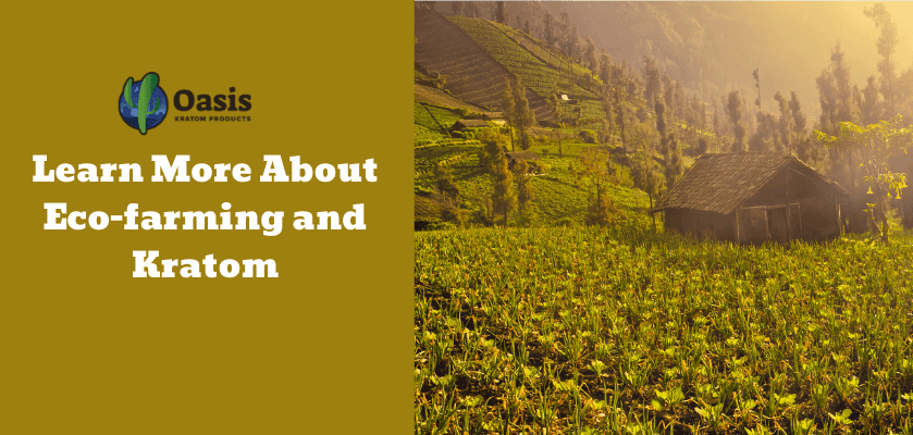 Learn More About Eco-farming and Kratom 1 Learn More About Eco-farming and Kratom