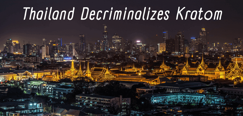 Thailand Decriminalizes Kratom 1 Thailand Decriminalizes Kratom