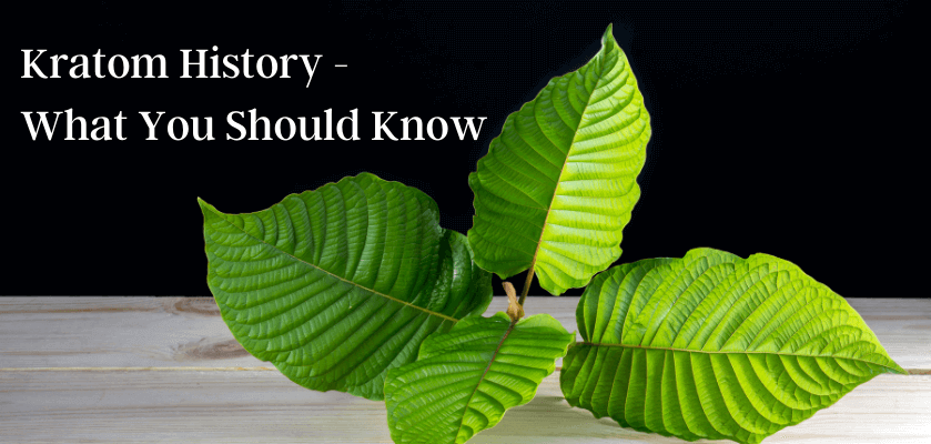 Kratom History - What You Should Know 9 Kratom History