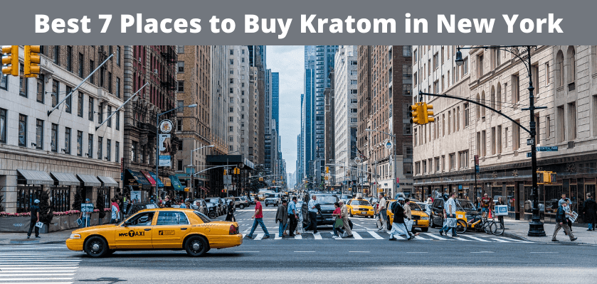 Check Out The 7 Best Kratom In New York - 2024 Update 1 Kratom in New York