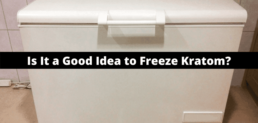 Is It a Good Idea to Freeze Kratom? 6 Is It a Good Idea to Freeze Kratom?