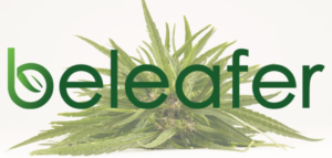 Beleafer