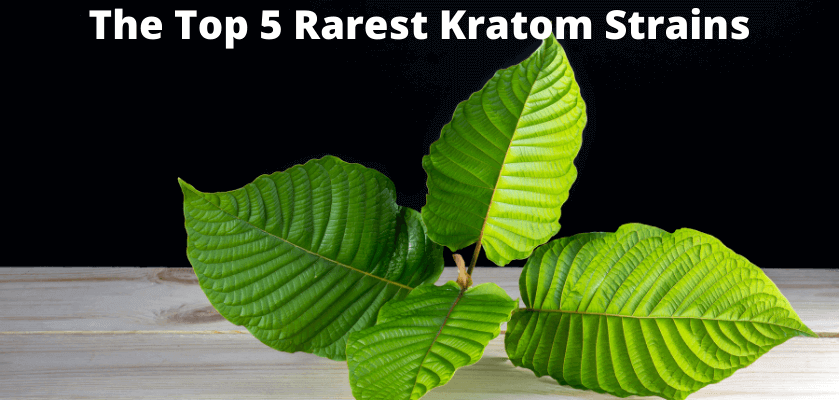 The Top 5 Rarest Kratom Strains 9 Rarest Kratom Strains