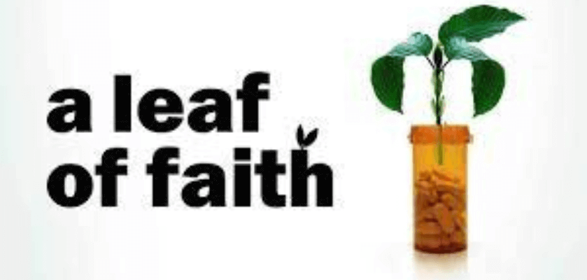 A Leaf of Faith: The Netflix Kratom Documentary 5 Kratom