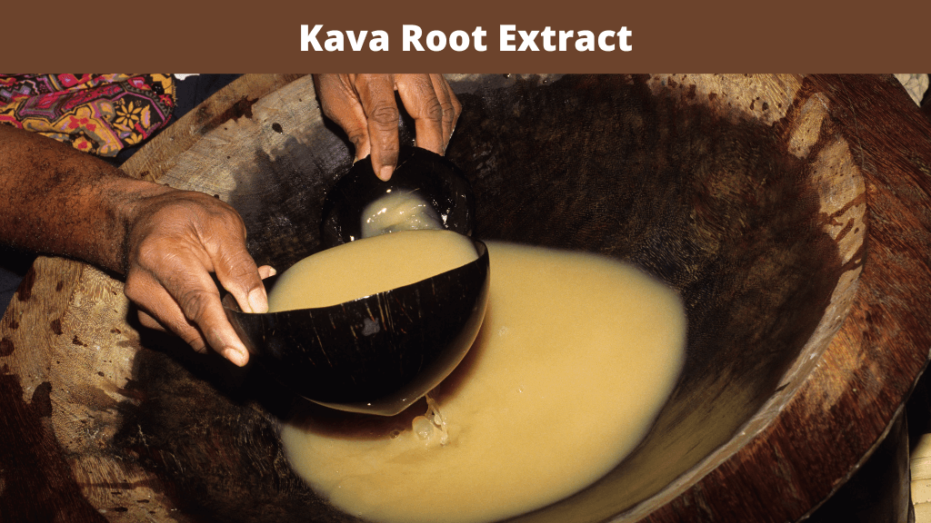 Kava 1 Kava Root Extract