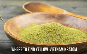 where to find yellow vietnam kratom