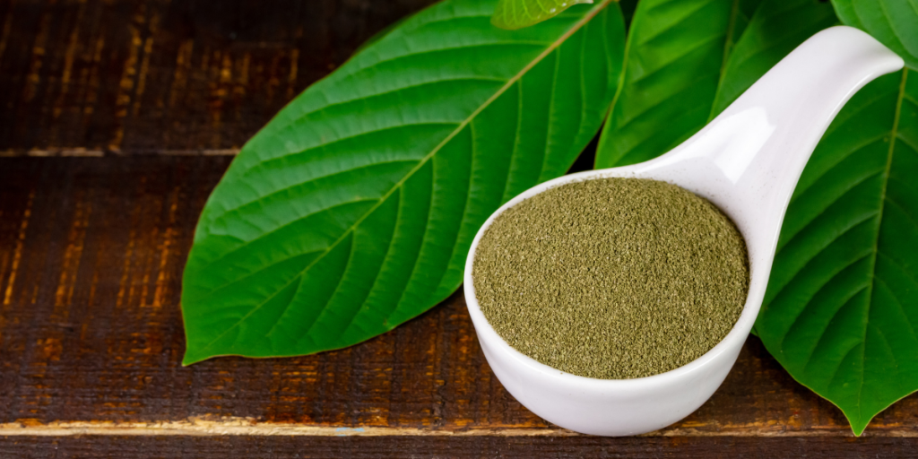 How And Where To Find Quality Kratom Powder Near Me? 5 Kratom Powder Near Me