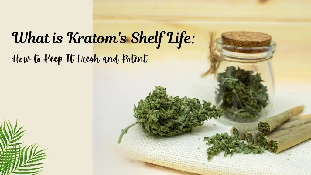 Kratom Shelf Life