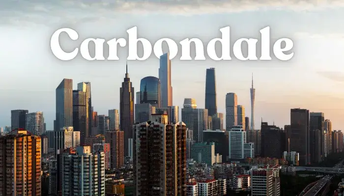 Where To Find Kratom In Carbondale, IL: Top Local Picks 1 Where To Buy Kratom In Carbondale